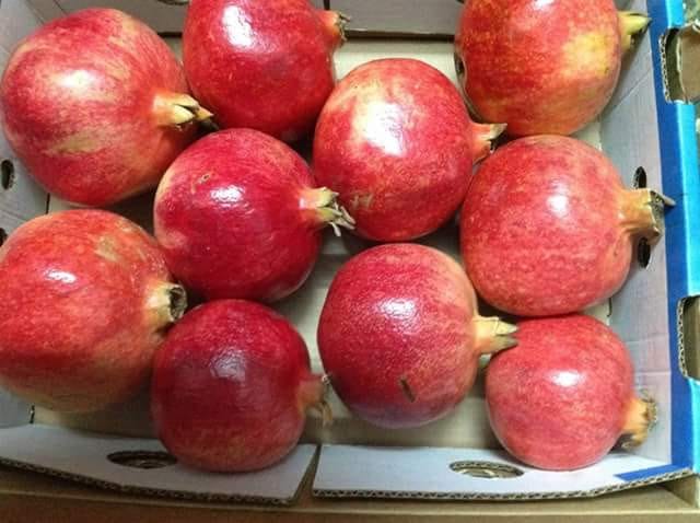 Pomegranate